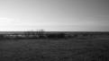 gotland-5