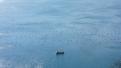 trieste.04