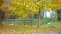 westensee-10