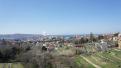 trieste.11