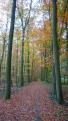 westensee-7