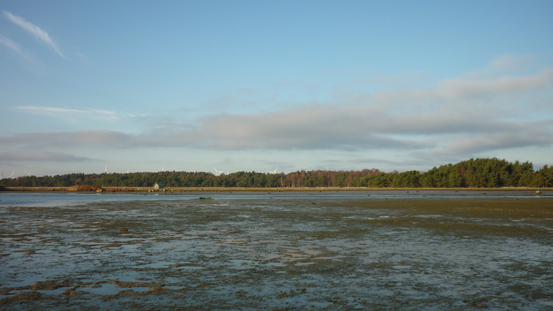 gotland-2