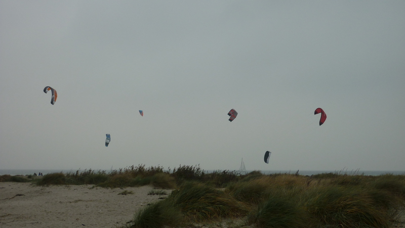 laboe-9