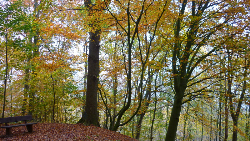 westensee-8